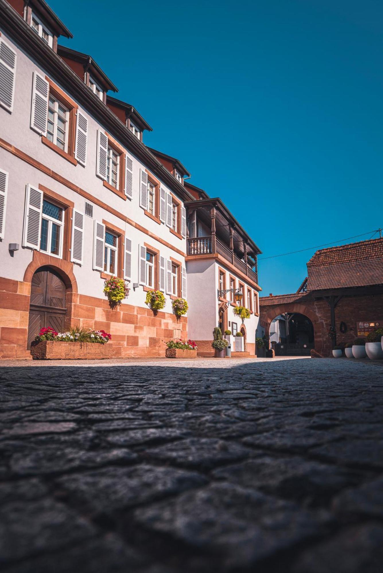 L'Auberge Du Cheval Blanc Et Spa Lembach Bagian luar foto